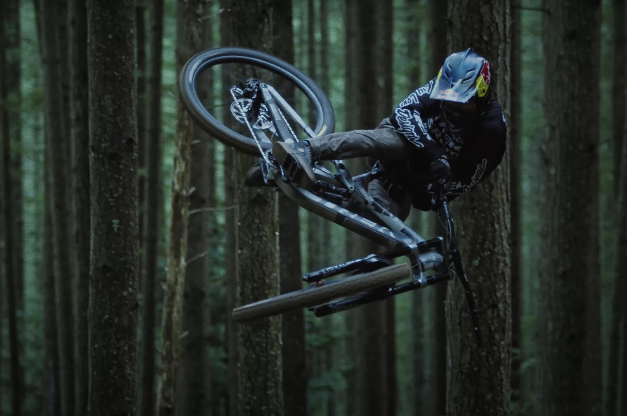 Mountain Bike Service